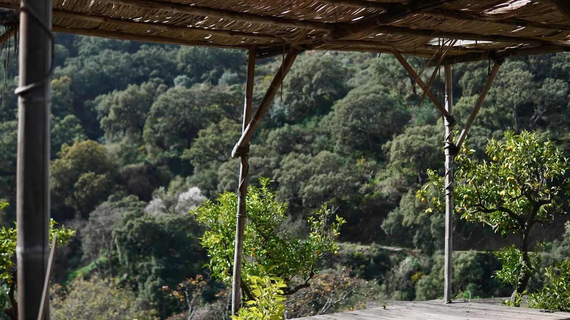 The4Elements Bed & Breakfast Monda
