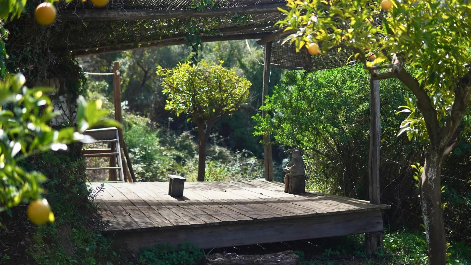 The4Elements Bed & Breakfast Monda